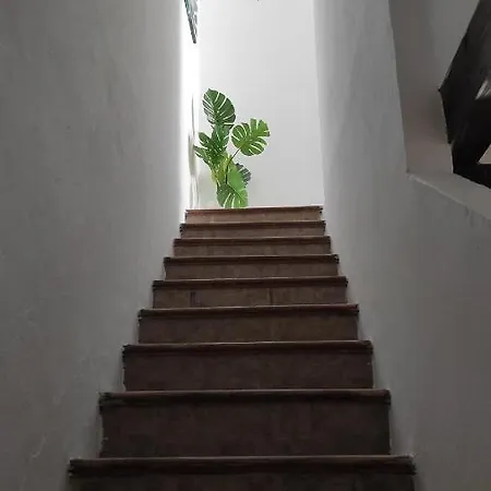 Playa La Caleta Terraza Con Barbacoa Lejlighed Cádiz